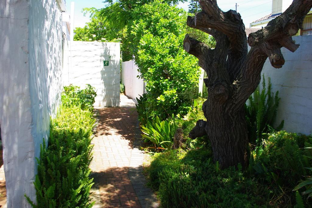 Aqua Marine Guest House Port Elizabeth Eksteriør bilde